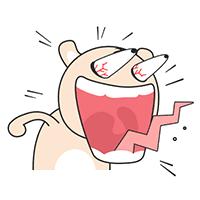 口罩2022网红爆款,网红饼干爆款产品