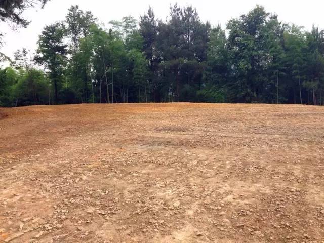 圣灯山老场镇风貌改造项目,圣灯山镇未来5年规划