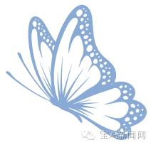 11月4日石家庄新闻发布会,11月4日太原新闻