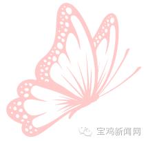 11月4日石家庄新闻发布会,11月4日太原新闻