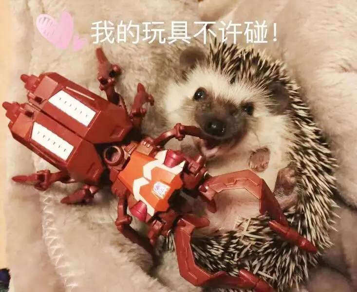 玩家秀梦幻西游,玩家秀创意工坊