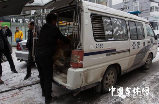 关注乔恒任吉林省民政厅*党**组书记|吉林省公务员笔试可查询成绩