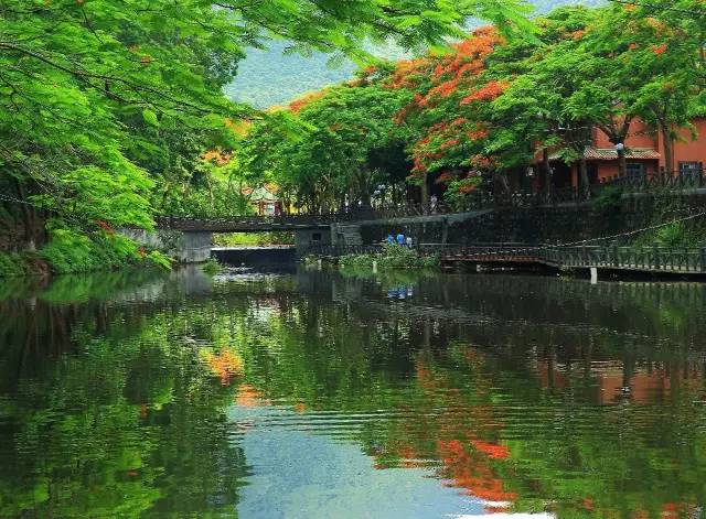 关注深圳龙岗,深圳龙岗最好消息