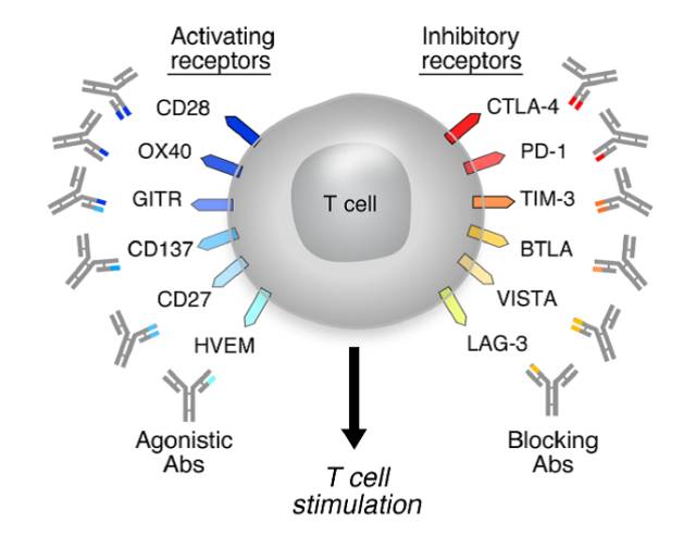 滚蛋吧肿瘤君全集,滚蛋吧肿瘤君高清完整版在线观看