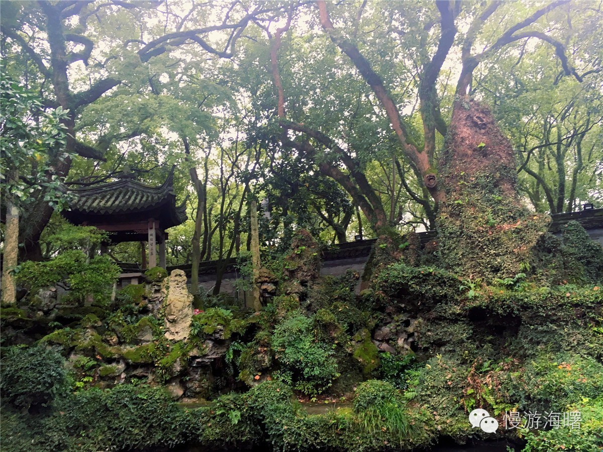 新宁波人游海曙,看完觉得自己这么多年宁波白待了!有奖征集作品02