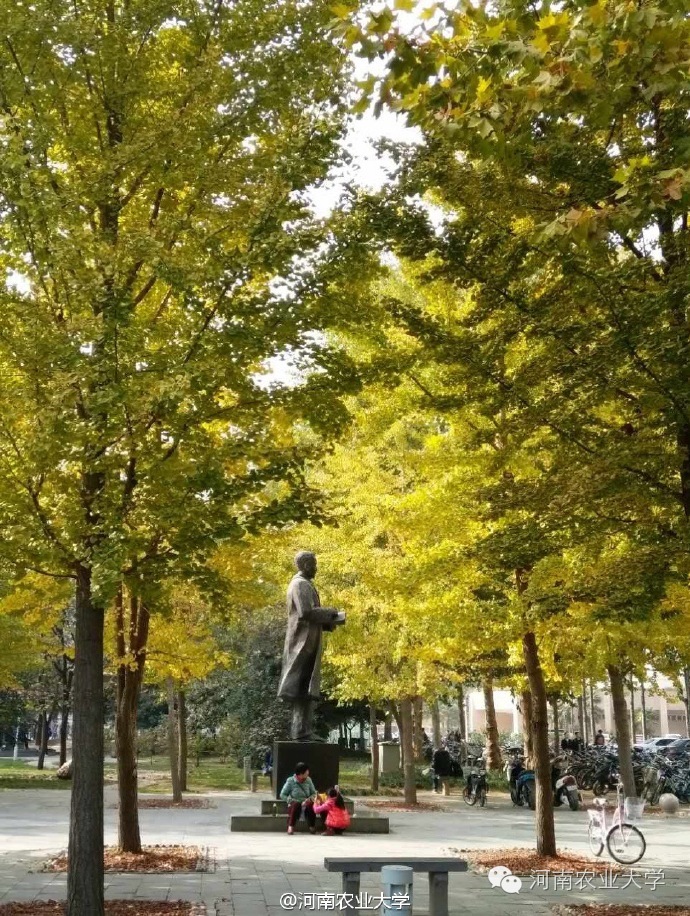 一周概览点点看，农大大事小情全知道（10.29~11.4）