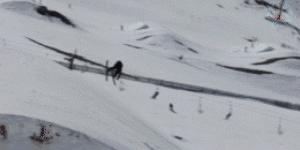 羊驼带你看懂双板Slopestyle(下)