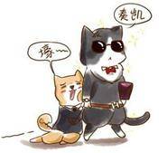 合肥工资水平2016 (合肥总体工资)