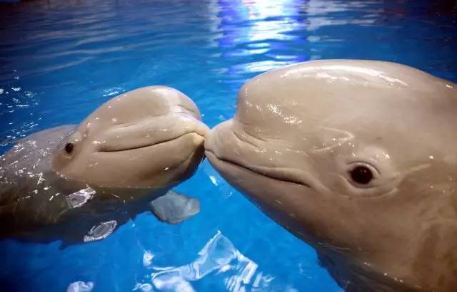 十一月南京去海南机票价格,11月去南京最便宜的机票