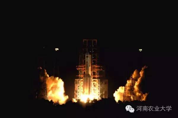 一周概览点点看，农大大事小情全知道（10.29~11.4）