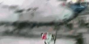 羊驼带你看懂双板Slopestyle(下)