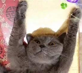 合肥工资水平2016 (合肥总体工资)