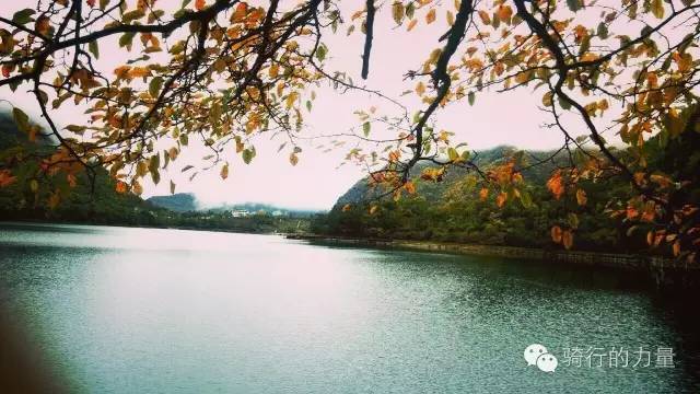 骑行醉美太湖线感受春日美景,骑行感受大自然的美景