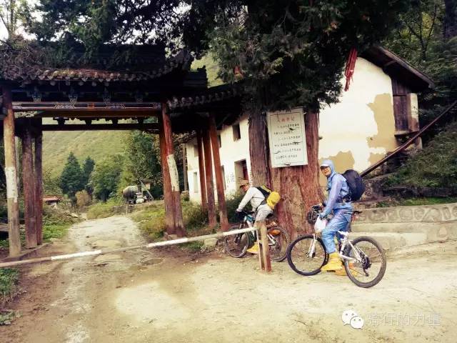 骑行醉美太湖线感受春日美景,骑行感受大自然的美景