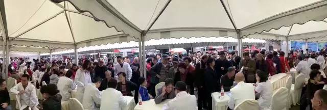 3000人挤爆东郊记忆，只为看他一眼