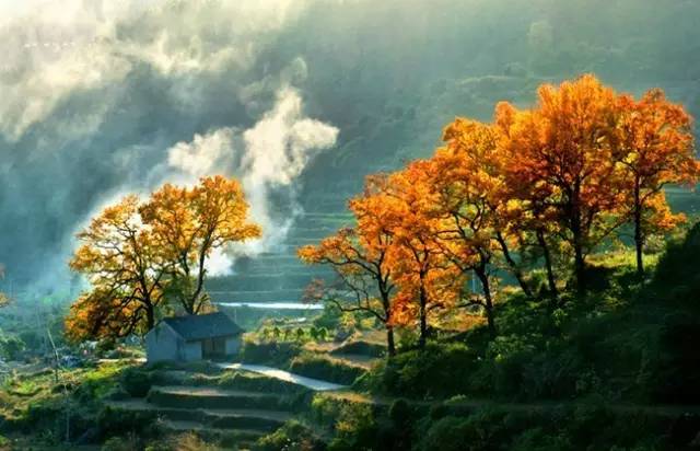 时已立冬，浙些美景再错过就要等明年了！