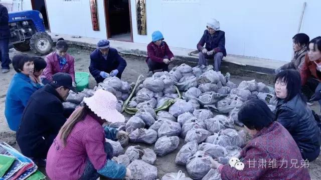 瑗垮拰鐧借妽,绉嶆鐧借妽鑷村瘜