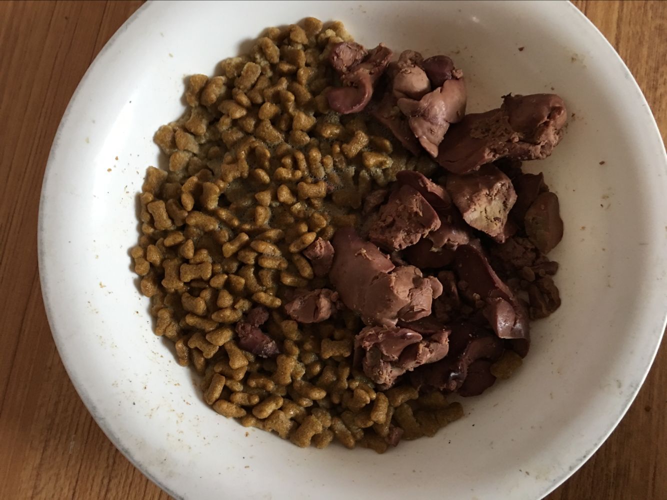 拉布拉多犬瘟弃养,被遗弃的拉布拉多幼崽