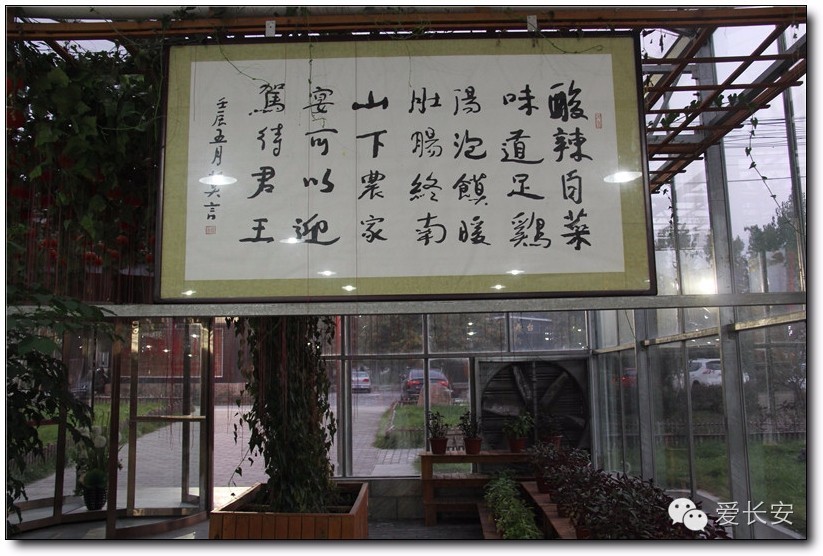 西宁南山秋景自驾游攻略一日游,旅游南山