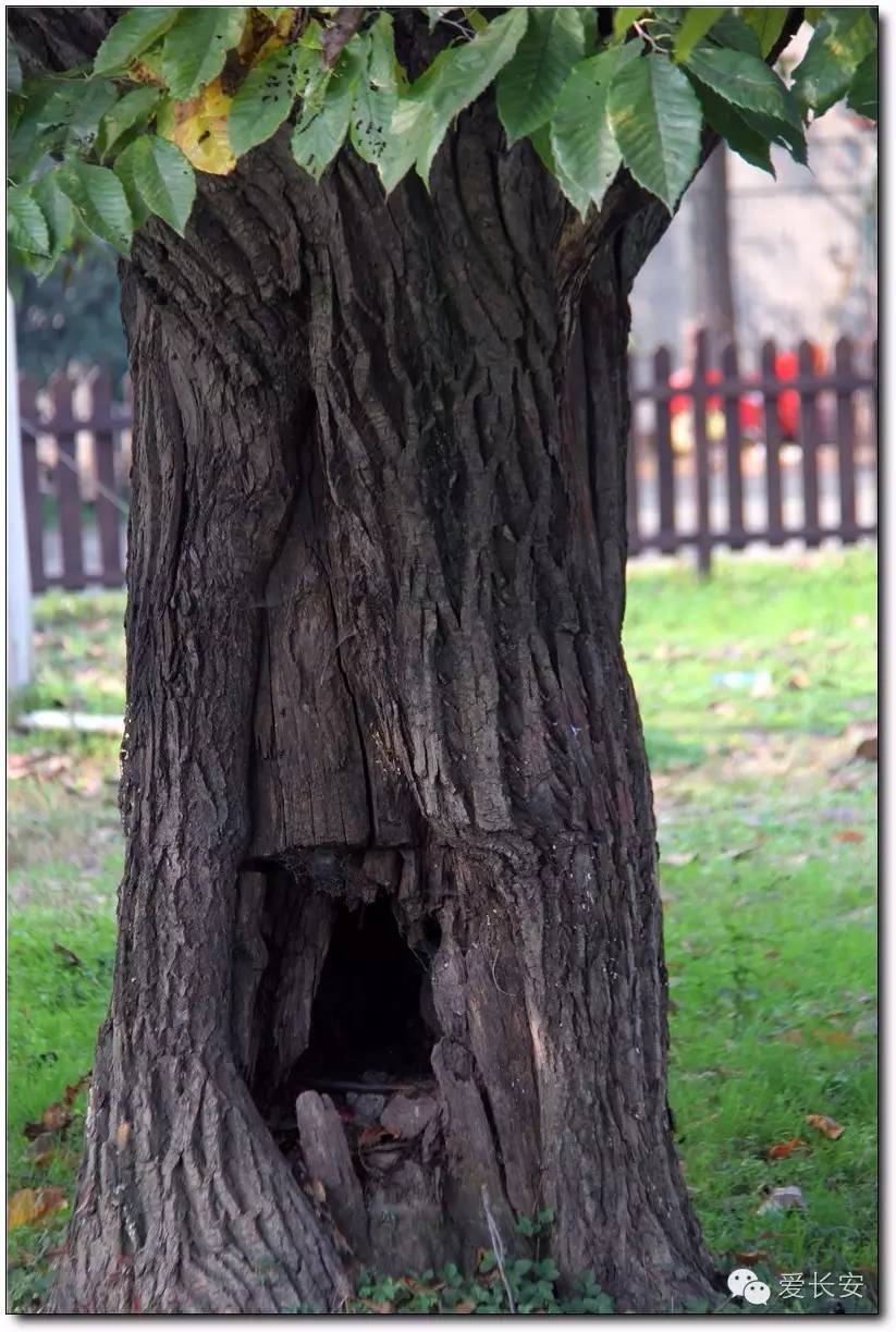 西宁南山秋景自驾游攻略一日游,旅游南山