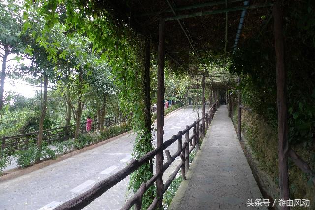 槟榔谷部落文化,槟榔谷文化探索