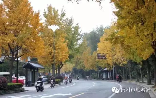 明日立冬，扬州最美的秋景都在这里啦！