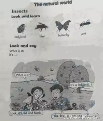 2017小学教师资格证考试试卷答案,2016中小学教师资格证笔试真题