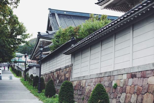 吃遍日本寿司,吃遍日本美食视频