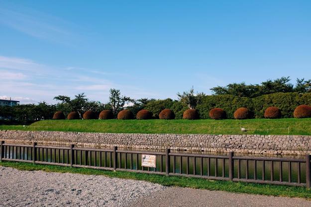 吃遍日本寿司,吃遍日本美食视频