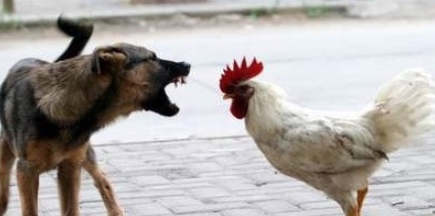 走过了几十年创业发展之路,从白手起家到千万富翁的创业故事