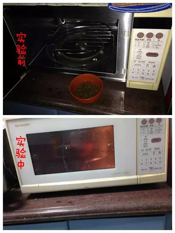 到底应该买什么狗粮,好的狗粮怎么买