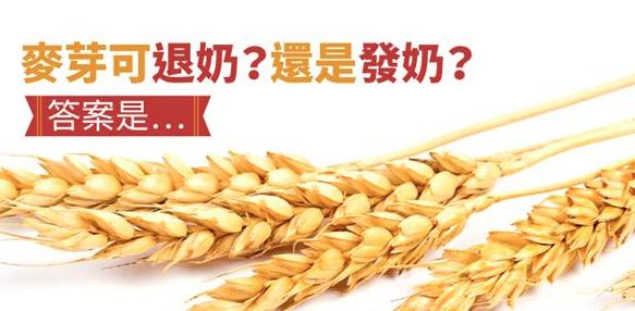 麦芽可退奶？还是发奶？答案是？