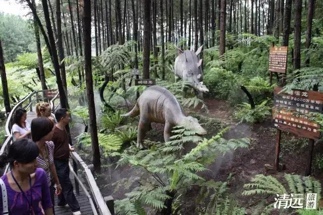 想在佛冈嗨翻天？这条路线一定让你热血沸腾！