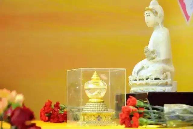 想在佛冈嗨翻天？这条路线一定让你热血沸腾！