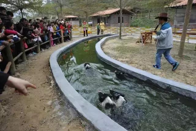 想在佛冈嗨翻天？这条路线一定让你热血沸腾！