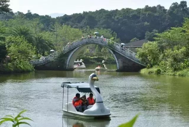 想在佛冈嗨翻天？这条路线一定让你热血沸腾！