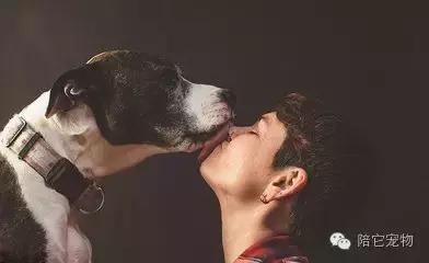 为什么狗狗这么喜欢舔蟾蜍,狗狗喜欢舔脚是因为什么原因