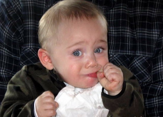 卡萨帝冰箱如何存帝王蟹,卡萨帝冰箱控氧与细胞保鲜区别