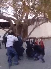 死神来了大结局免费看,死神来了幸存人结局