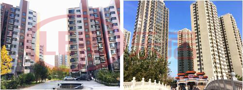 zen相只有一个!建昌道,你究竟要嘎嘛