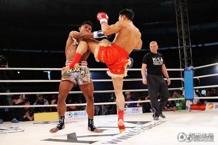 周志鹏崔洪万谁赢了,韩国巨兽崔洪万挑衅周志鹏