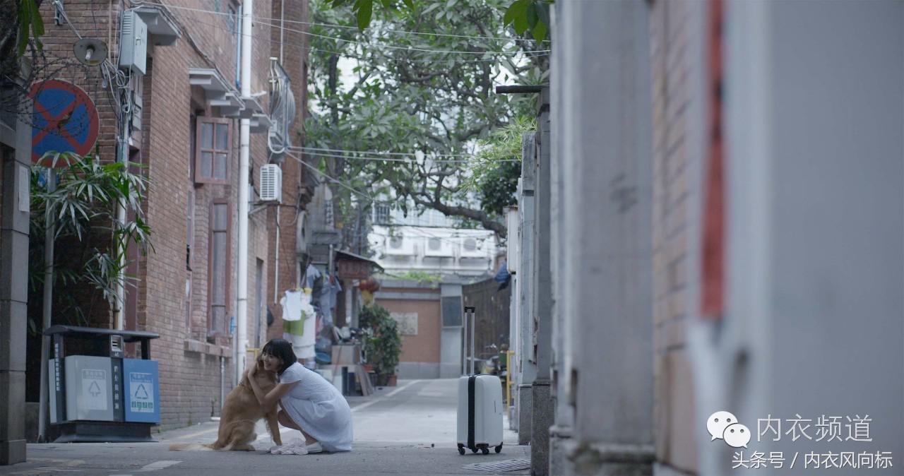 女人、睡衣与狗,芬腾用7分钟讲了一个“忠犬八公”的故事