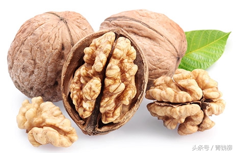 中国核桃加工产业链全景图,中国核桃品种