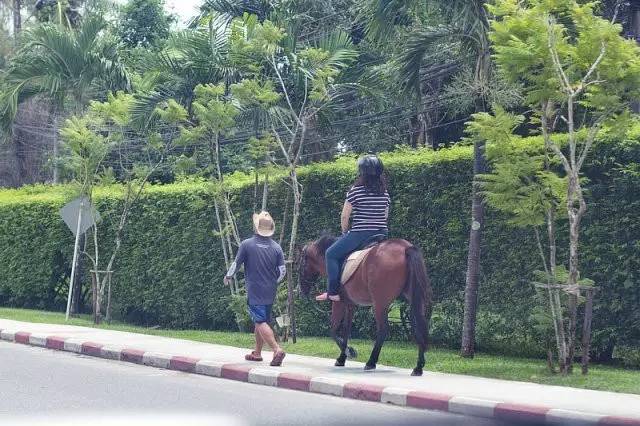 泰国普吉岛旅行攻略,泰国普吉亲子游攻略