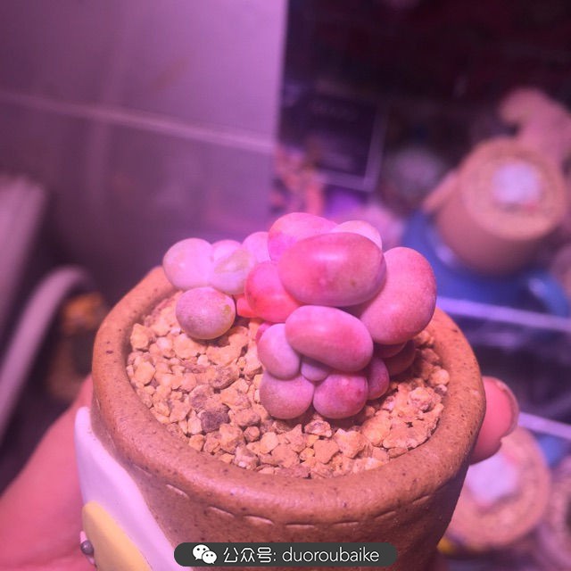 谈谈我对自己的看法,谈谈我对恋爱的看法