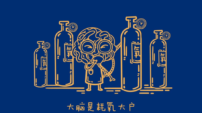 关于大脑的十个冷知识,大脑冷知识100个