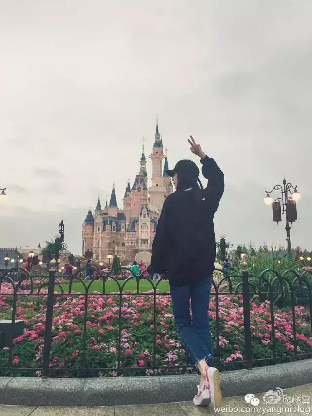 女明星都在穿的牌子,女明星都在穿的服装品牌