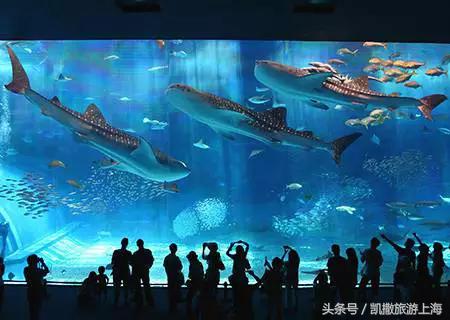 去冲绳有什么讲究,第一次去冲绳有什么好处