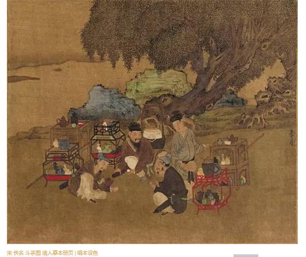 史上最全茶叶,史上最全的茶叶分类建议收藏