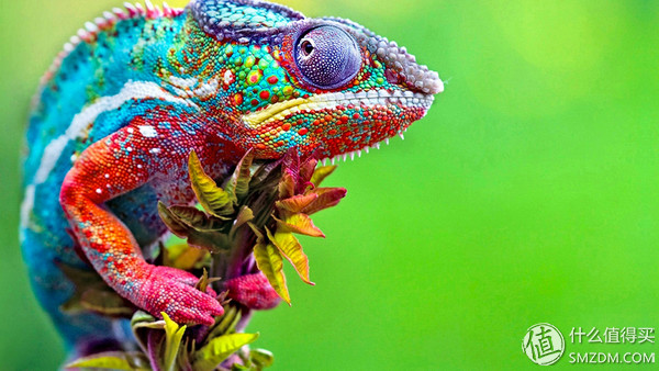 什么是ips硬屏笔记本,ips雾面屏笔记本推荐